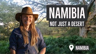 Namibia - not just a desert!