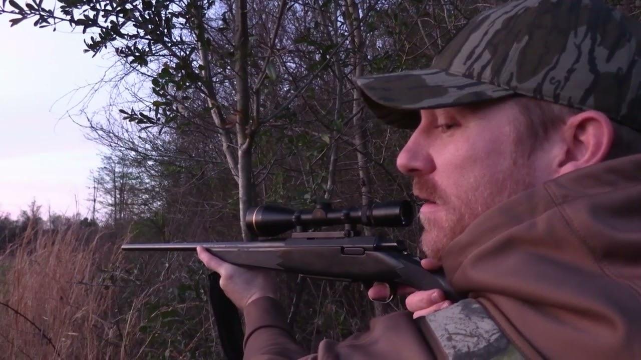 Youth Turkey Scouting Turned HOG KILLING - Chase