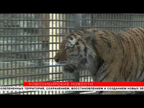 Электропастухи будут охранять