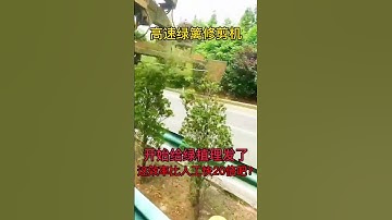 A high-speed cart-mounted hedge trimmer trims branches, weeds and undergrowth