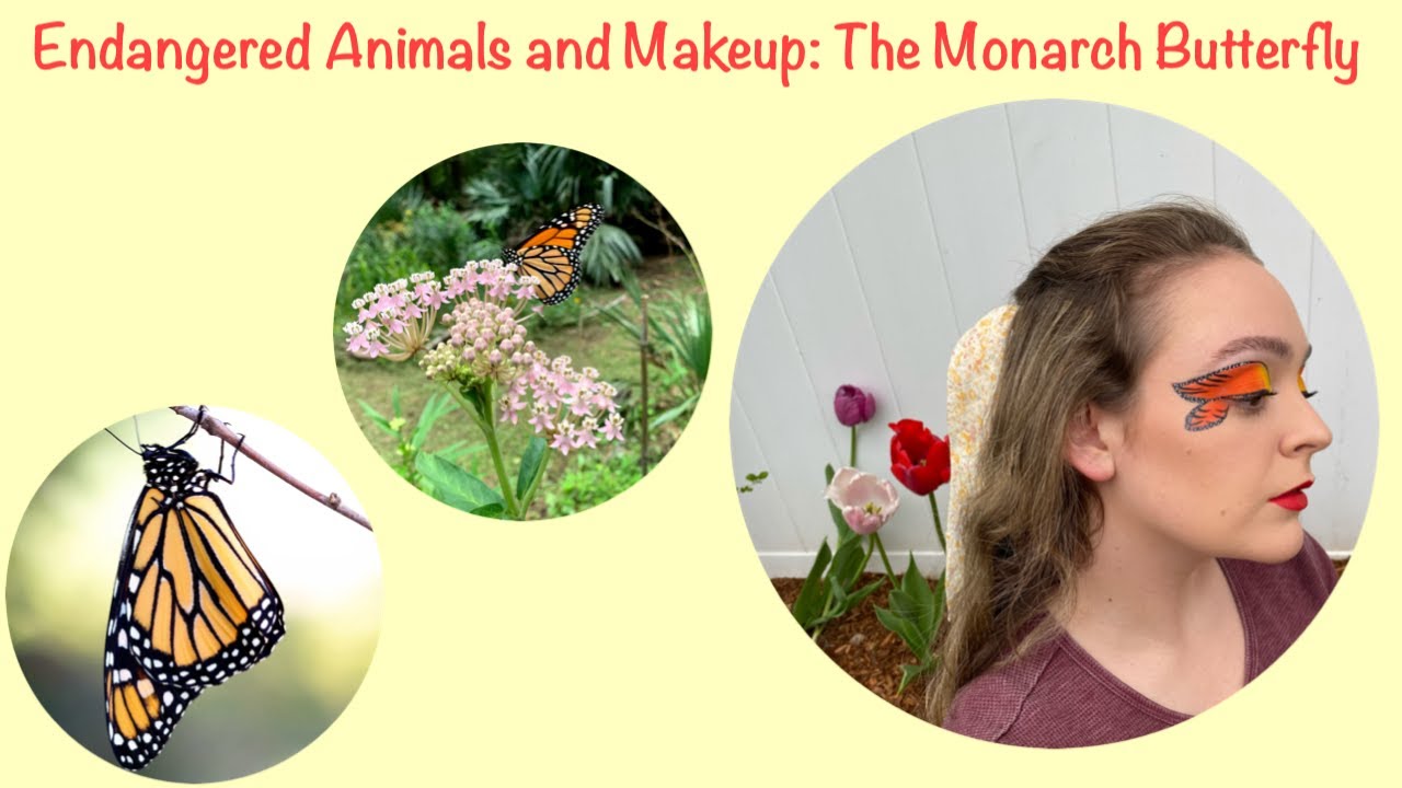 Endangered Animals and Makeup Monarch Butterfly