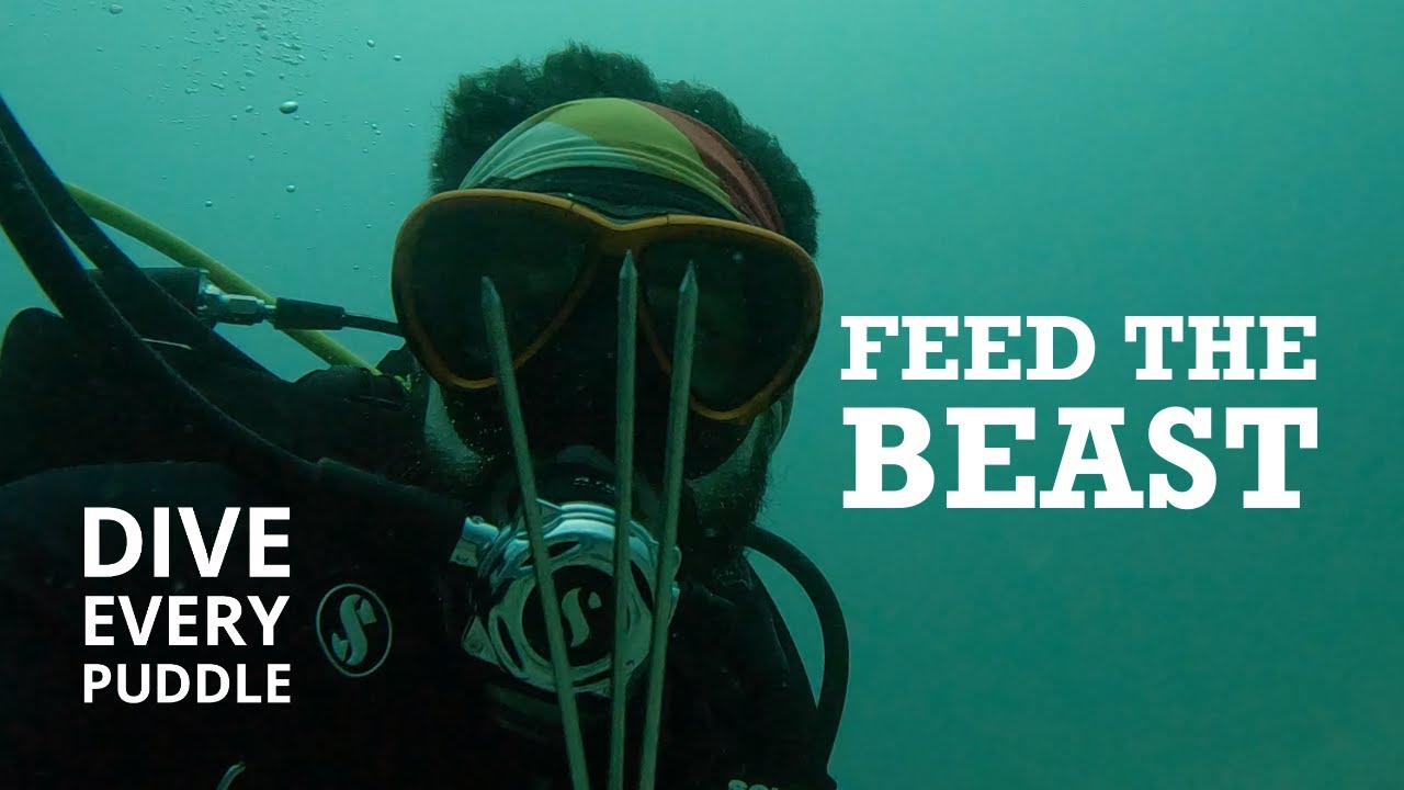 Feed the Beast | Dive Every Puddle