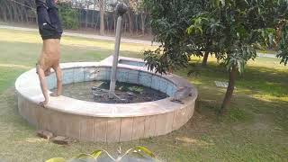 Excersise Handstand Shorts Flash Movemecalisthenics Reels Newworkoutveido Motivated Fitgirls