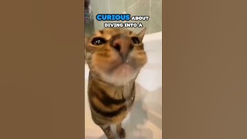 How to Make Unity 6 Multiplayer Browser Games #unity #indiedev #gamedev #gaming