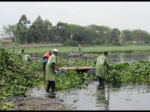 Nairobi Dam Water Treatment & Purification Project by EM Technologies