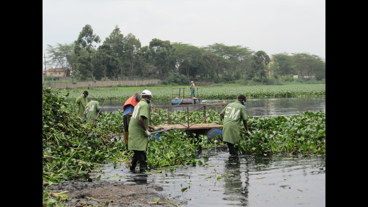 Nairobi Dam Water Treatment & Purification Project by EM Technologies YouTube