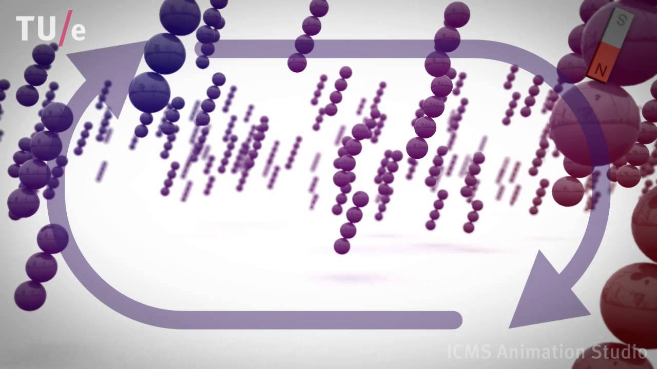 Swarming Magnetic Microbeads