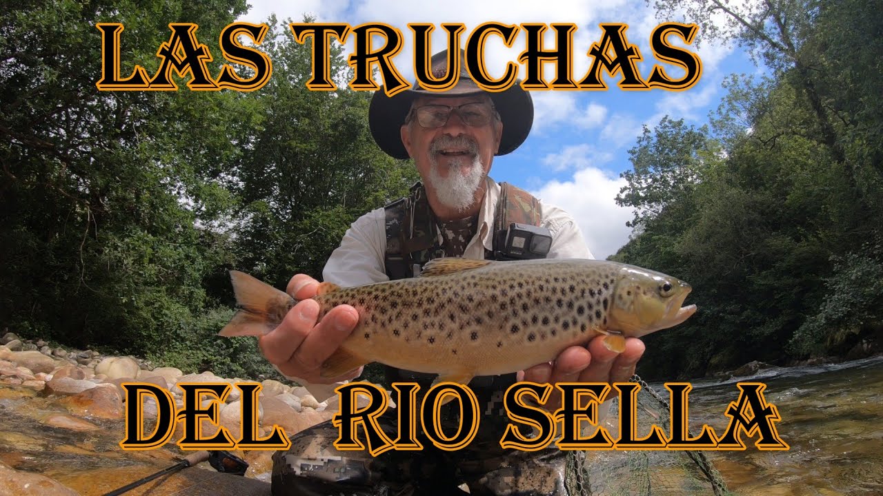 LAS TRUCHAS DEL RIO SELLA