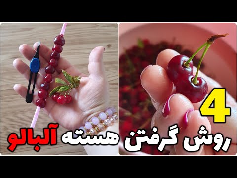 سریع و ساده ترین روش گرفتن هسته آلبالو
