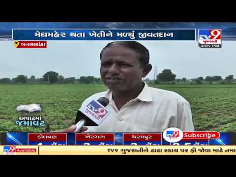 Banaskantha receives downpour after a long dry spell | TV9News