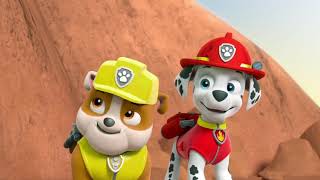 Pups Save A Big Bone-Clip9