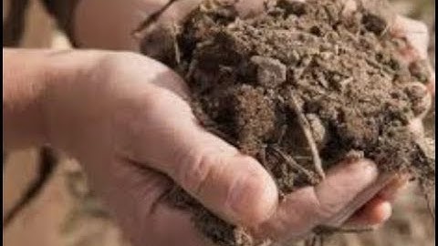 Soil Characteristics and Properties (Part 2)