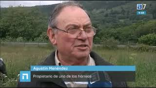 ¿La plaza más pequeña de Asturias?