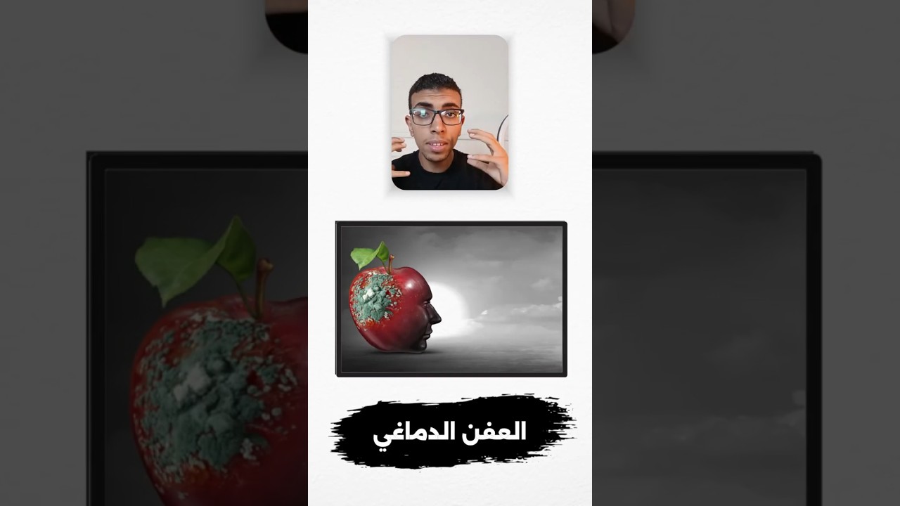 إزاي تذاكر صح؟🧠 | حل مشكلة السلاحف في المذاكرة
