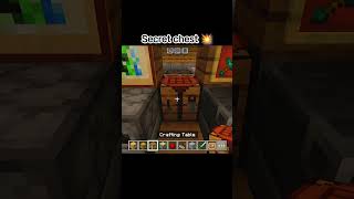 Minecraft's Secret Chest 🤯