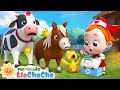 Animais da Fazenda Machucados 🐄 | Canção Infantil Educativa com LiaChaCha