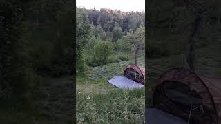 Wilderness Escape: Backyard Camping in our Camouflage Tent