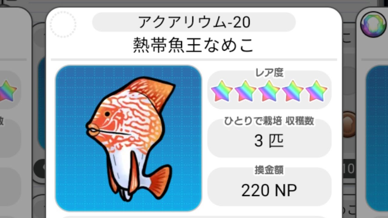 希少品】フィッシュトレーニングキット アクアリウム 観賞魚向け 