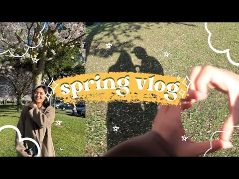 Long Weekend Vlog 🌸 cherry blossoms, grocery shopping, hosting dinner