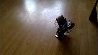 RAWR Biped Robot walking in Circles
