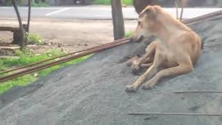 My cute village vlog😋😋 screenshot 5