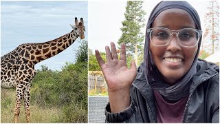Caafimadka Beertayda / Himilo Farm ☘️/ Nairobi National Park 🦒 🦌 #garden #somali #subscribe