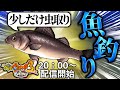 【配信】今日は普通の小学5年生っぽくね。魚釣りしようね。【妖怪ウォッチ3スキヤキ】