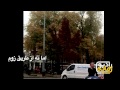 عکاسی مقدماتی - نکات مهم یک عکس خوب