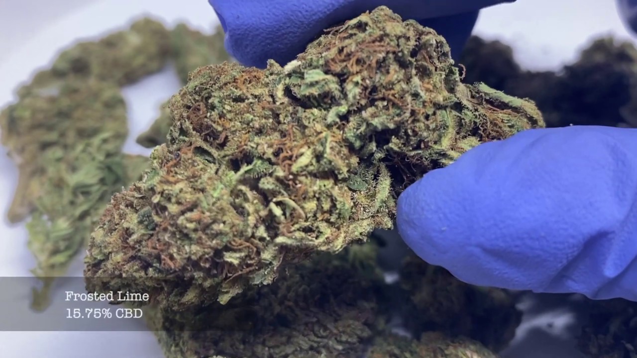 HempChimp - Frosted Lime Hemp Flower