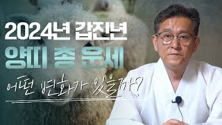 2024년 갑진년 ’양띠‘ 운세 / 양띠생들에게 일어날 변화들 #강남점집 #용한점집