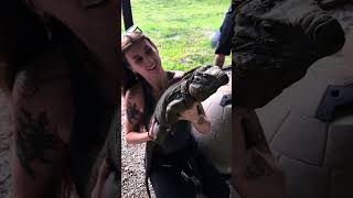 Tyler Nolan’s Lewisi Iguana