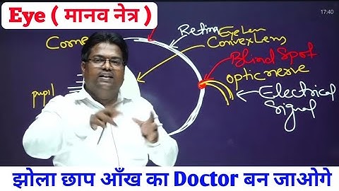 jharkhand Polytechnic 2022 / Bihar Polytechnic 2022 /UP Polytechnic 2022 / marathon live class