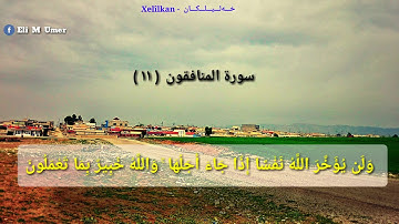 سورة المنافقون  ( ١١ )   رعد محمد الكردي