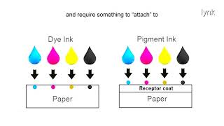 Dye ink vs. Pigment Ink which is the best?