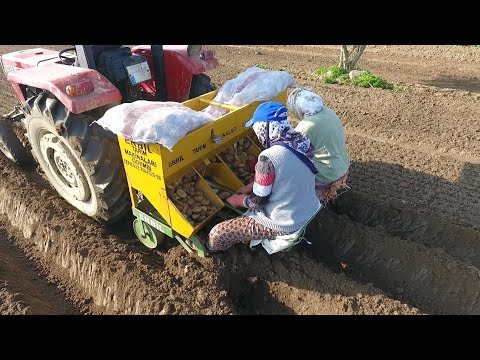 Video: Arsa piyasası Rusya'daki arazi piyasası