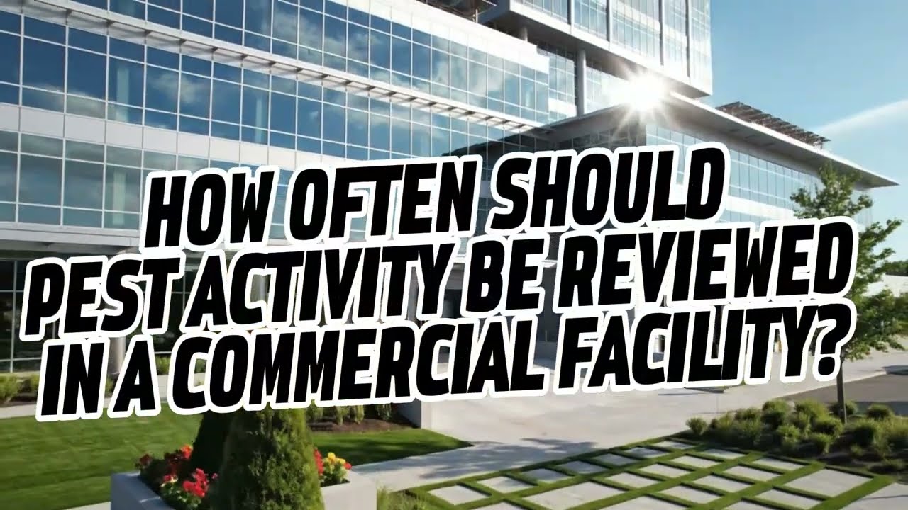How Often Should Pest Activity Be Reviewed in a Commercial Facility?