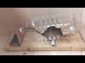 DIY mousetrap // Instructions for making a mouse trap for beginners