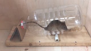 DIY mousetrap // Instructions for making a mouse trap for beginners