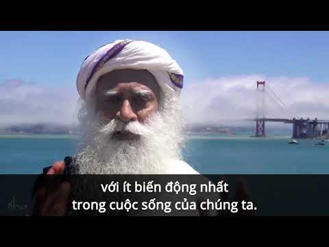 Sadhguru Tiếng Việt