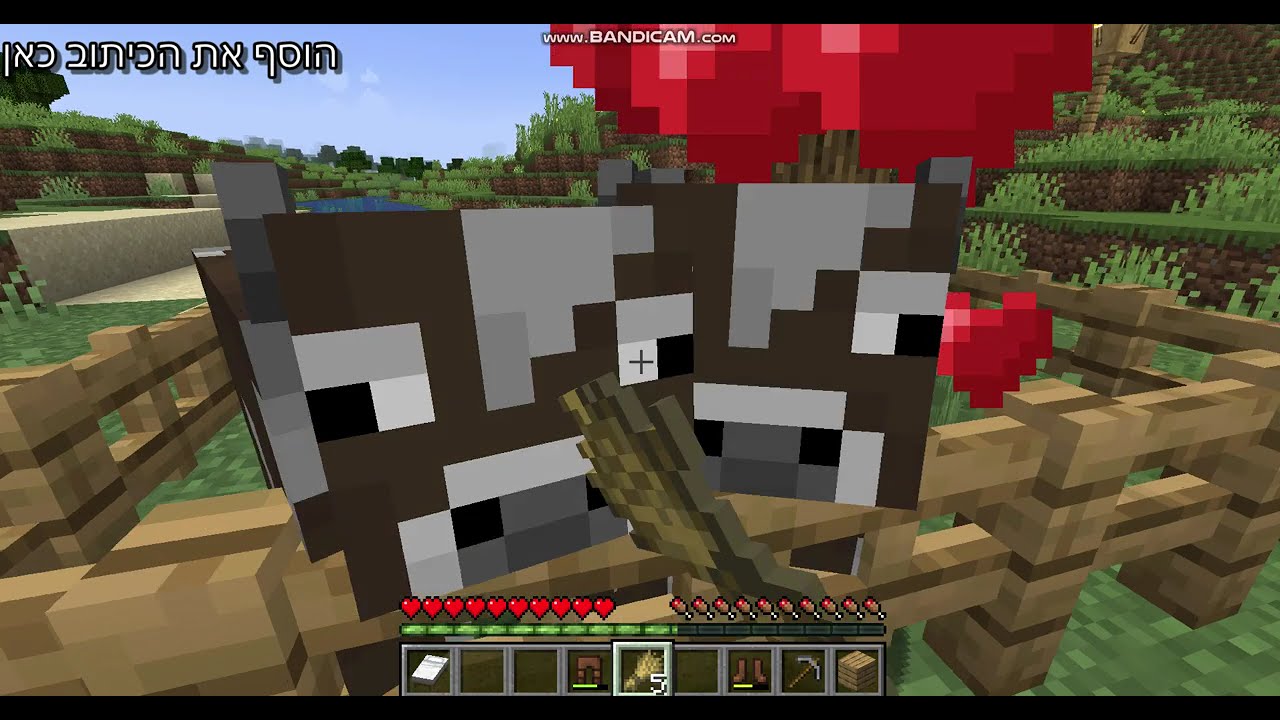 שיחקתי  משהו מיסטורי  שאולי אתם מכירים ?????????????????????????????????????????????????????????????