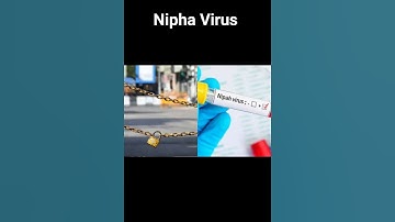 Lockdown??? Nipha Virus #Nipha #niphavirus #shorts #trending