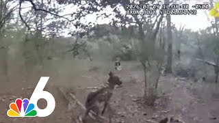 Video shows K-9 finding missing boy in woods in Florida