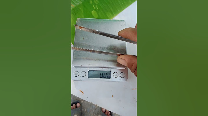 ตาชั่งดิจิตอลจิ๋วเอาไว้ชั่งทอง แต่วันนี้เราเอามาชั่งหมูฝอย