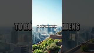 Whispers Of The Urban Sky Microclimates That Shape Our Cities