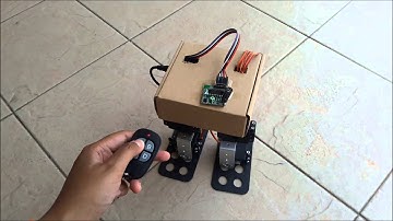 Robot with 5 Servo Channel Player