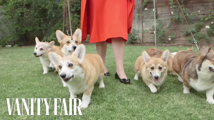 Meet the Queen's Royal Corgis | Vanity Fair - DayDayNews