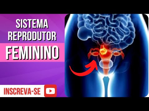 hqdefault - Sistema Reprodutor Feminino