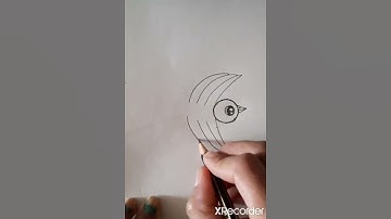 Easy Bird drawing #shorts #drawing #birddrawing