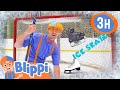 Blippi’s Ice Skating and Hockey Fun | Blippi | Kids TV Shows