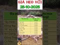 Giá heo hơi hôm nay 25/10/2025 Ổn định trên toàn quốc